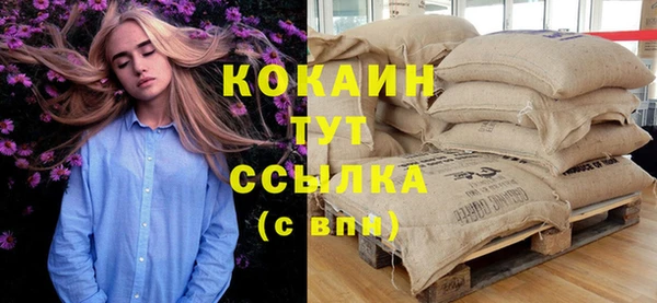 прущий лед Козловка
