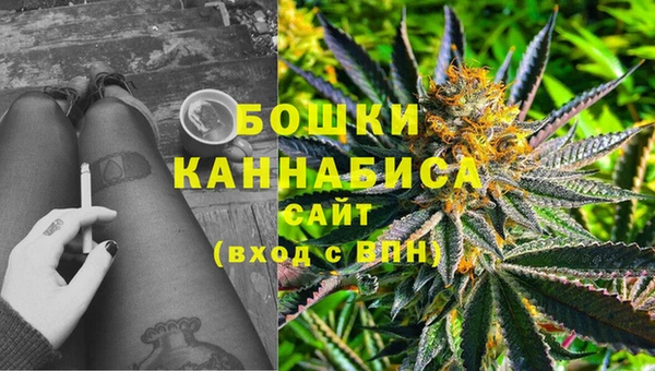 прущий лед Козловка