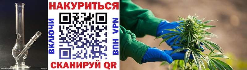 продажа наркотиков  Ленинградская  MEGA онион  Марихуана план 